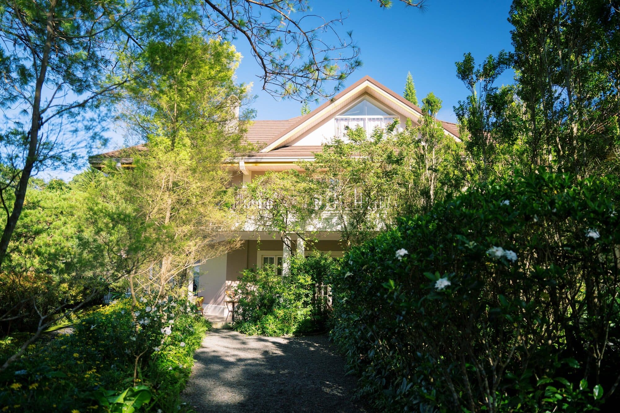 The exterior of Frangeli House seen through pines and flowering gardenia bushes under a clear sky