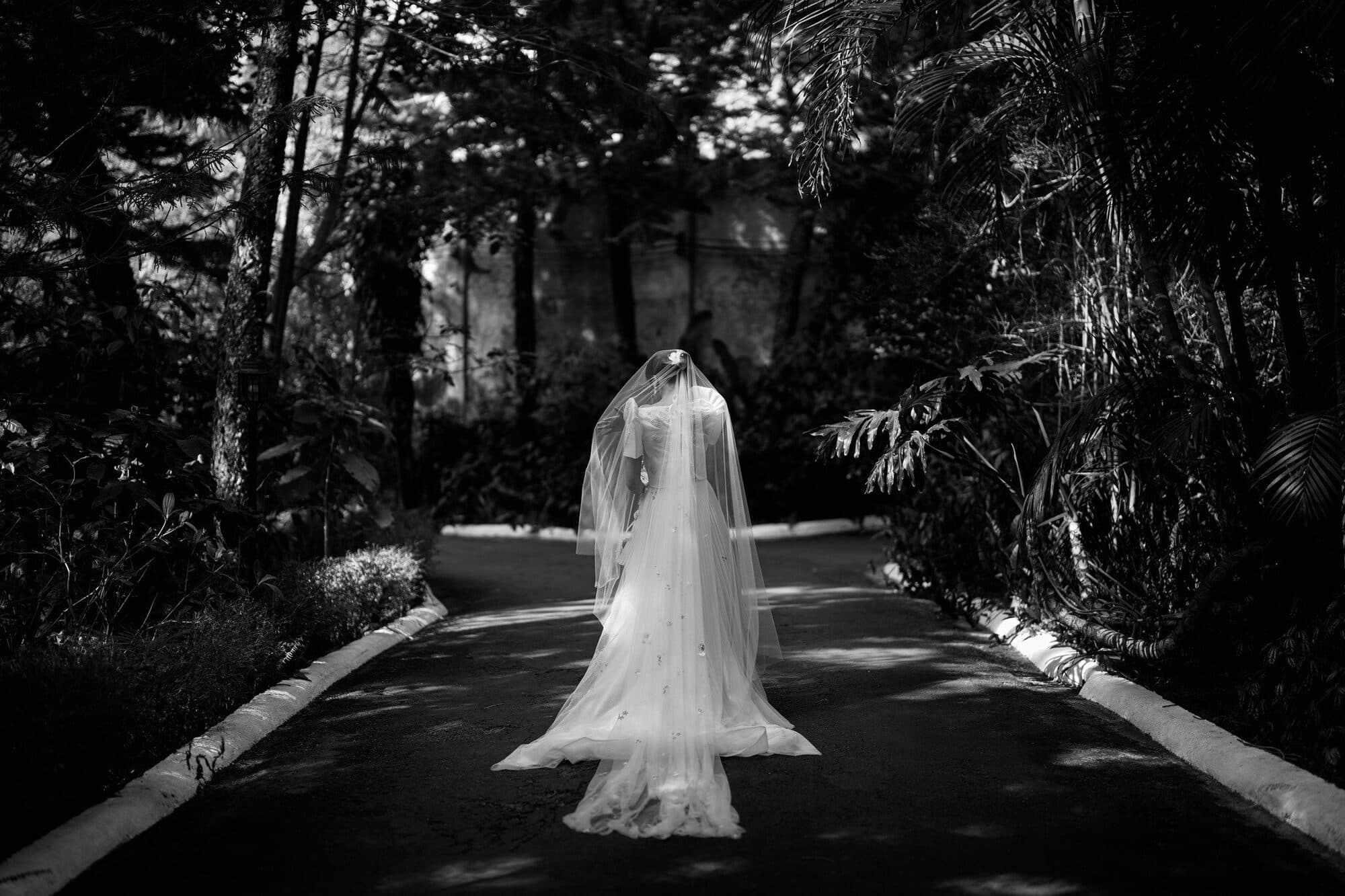 A bride standing alone on a shaded tree-lined driveway, her veil drawn over her face and her train spread across the road